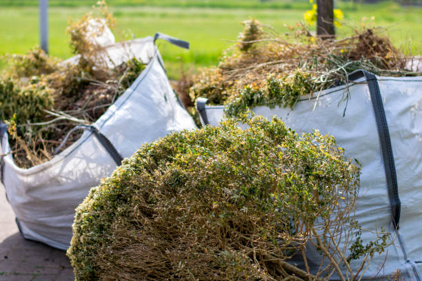 Best Furniture Removal Near Me  in Sterling, IL